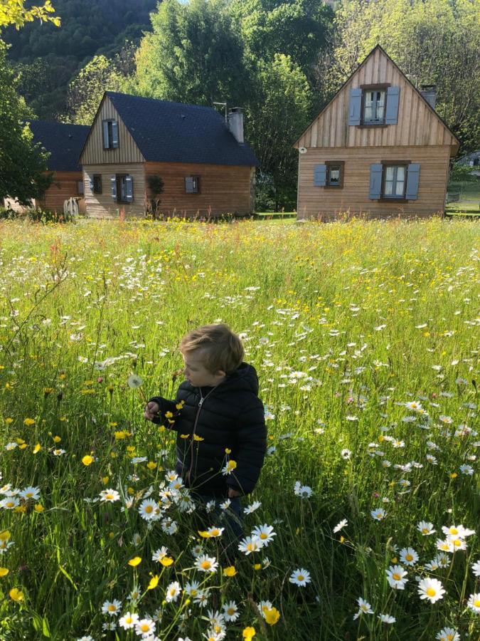 Les Chalets D'Arrens Bagian luar foto